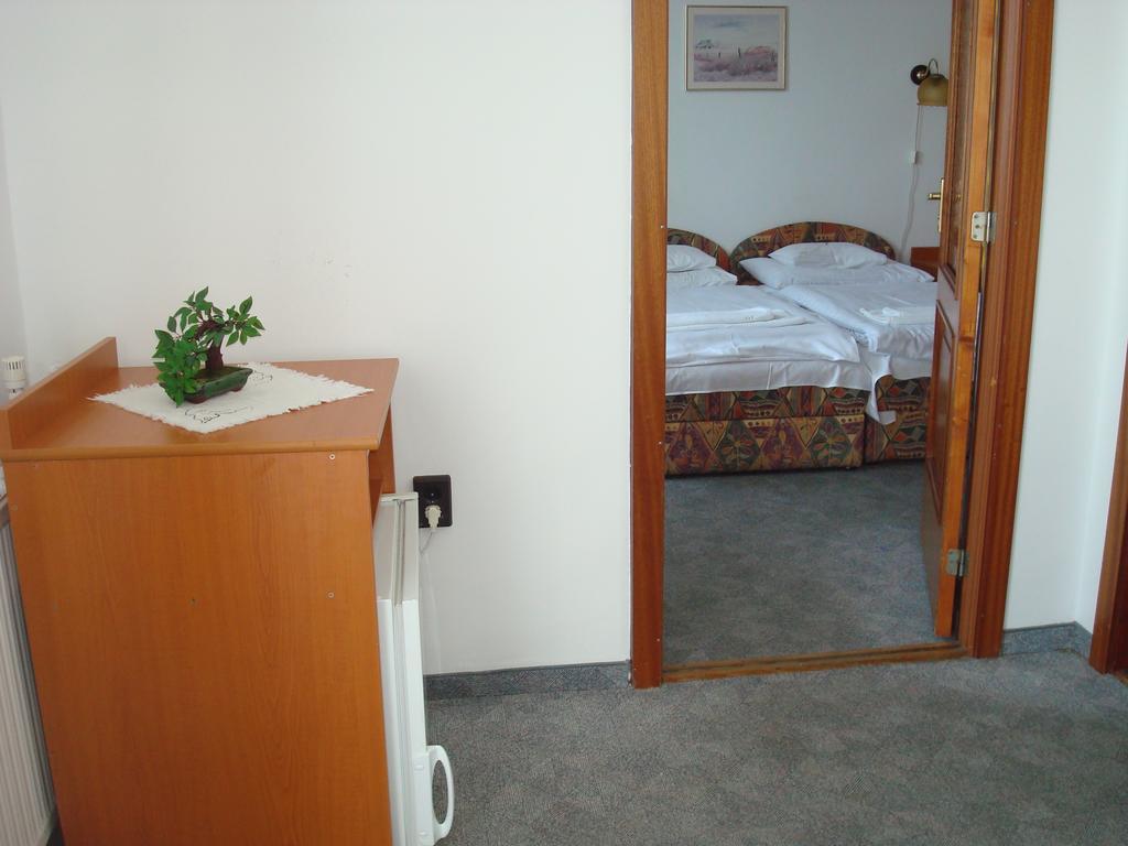 Hotel Termal Tiszaújváros Rum bild